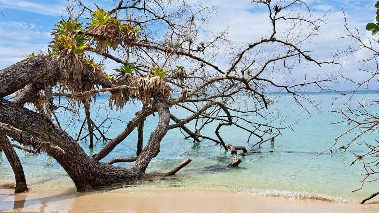 El Clandestino Villa Bocas Town Kültér fotó